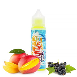 E-liquide Cassis Mangue 50 mL - Fruizee
