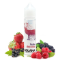 E-liquide Fruits des Bois 50 mL - Solana
