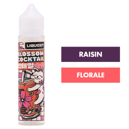 E-liquide Blossom Cocktail 50 mL - KJuice (Liquideo)