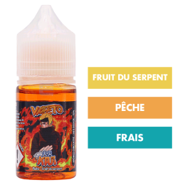 Concentré Kaji 30 mL - Vapeto