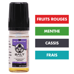 DDM Dépassée - E-liquide Souffle du Dragon 10 mL - Salt E-Vapor (Le French Liquide)