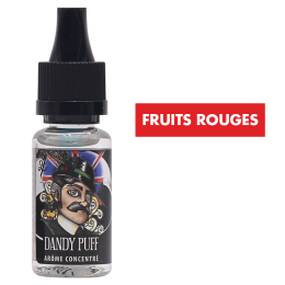 Concentré Dandy Puff  10 mL - Revolute High End