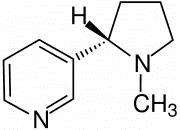 schéma d'une molécule de nicotine