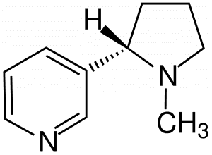 schéma de la composition de la nicotine