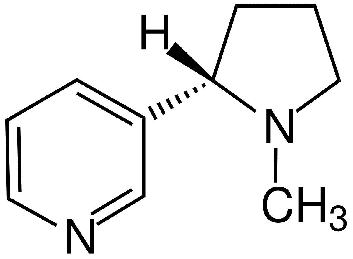 schéma d'une molécule de nicotine
