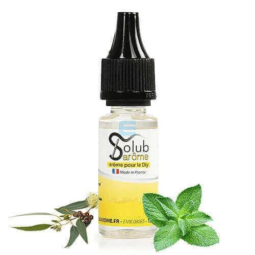 Arôme Menthe Eucalyptus 10 mL - Solubarome