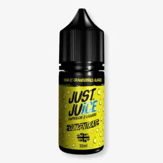 Concentré Kiwi Cranberries Glacés 30 mL - Iconic Just Juice — Just Juice - Arômes DIY