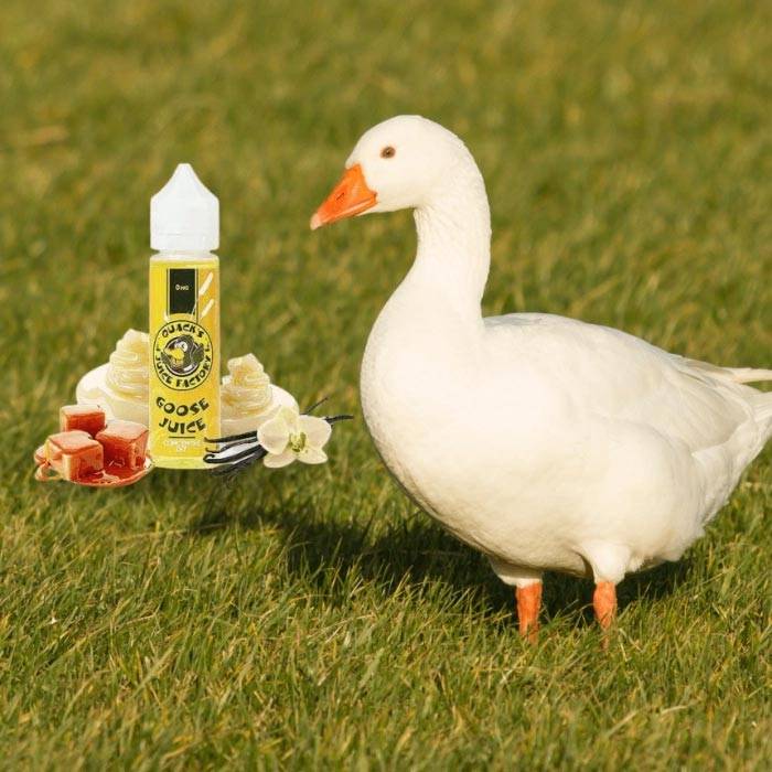 Revue du e-liquide Goose par Quack's Juice Factory
